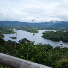  futurprimitiv by Evey Kwong