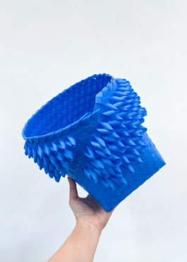  futurprimitiv by Evey Kwong