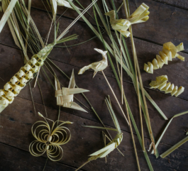  futurprimitiv by Evey Kwong