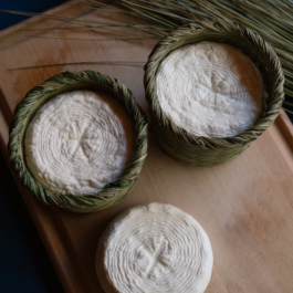  futurprimitiv by Evey Kwong