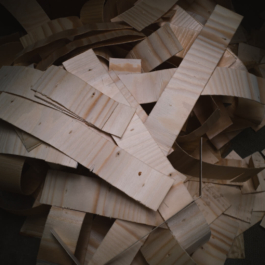 futurprimitiv by Evey Kwong