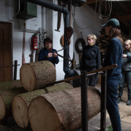 futurprimitiv by Evey Kwong