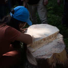  futurprimitiv by Evey Kwong