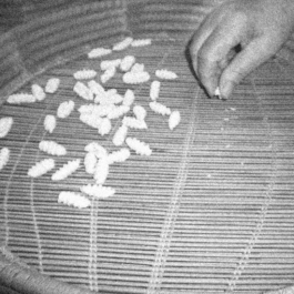 futurprimitiv by Evey Kwong