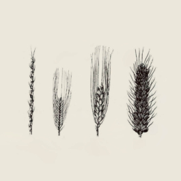  futurprimitiv by Evey Kwong