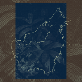  futurprimitiv by Evey Kwong