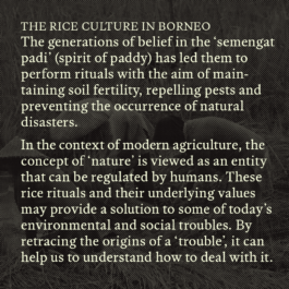  futurprimitiv by Evey Kwong