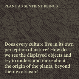 futurprimitiv by Evey Kwong