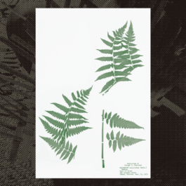 futurprimitiv by Evey Kwong