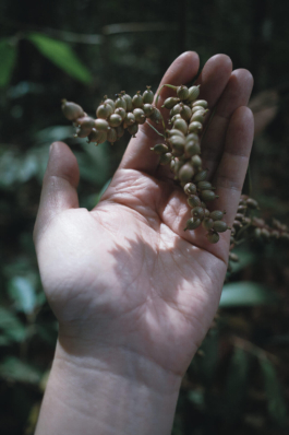  futurprimitiv by Evey Kwong