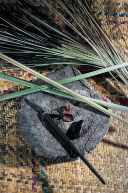  futurprimitiv by Evey Kwong