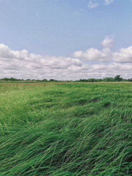 futurprimitiv by Evey Kwong