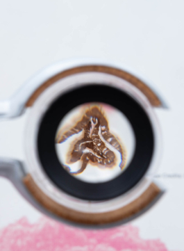 futurprimitiv by Evey Kwong