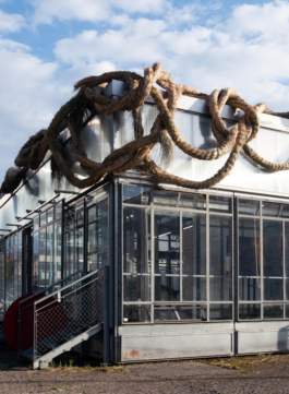 futurprimitiv by Evey Kwong