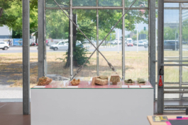 futurprimitiv by Evey Kwong