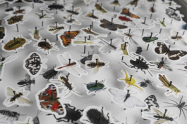 futurprimitiv by Evey Kwong