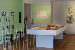 futurprimitiv by Evey Kwong