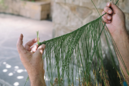 futurprimitiv by Evey Kwong