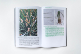 futurprimitiv by Evey Kwong