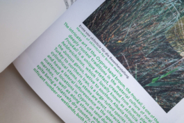 futurprimitiv by Evey Kwong