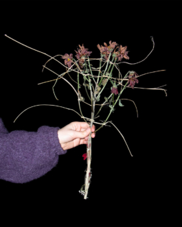  futurprimitiv by Evey Kwong