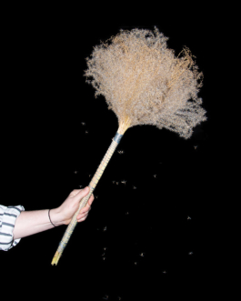  futurprimitiv by Evey Kwong