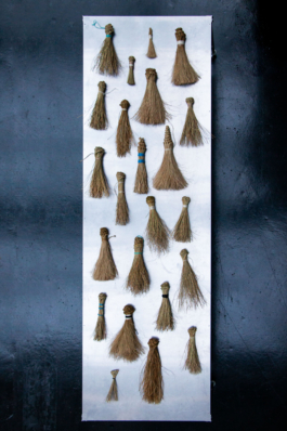  futurprimitiv by Evey Kwong