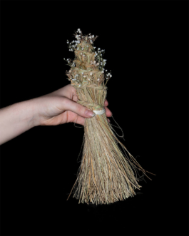  futurprimitiv by Evey Kwong