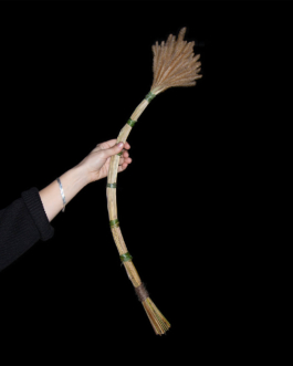  futurprimitiv by Evey Kwong