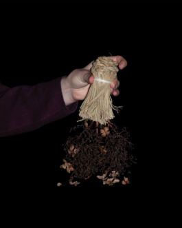  futurprimitiv by Evey Kwong