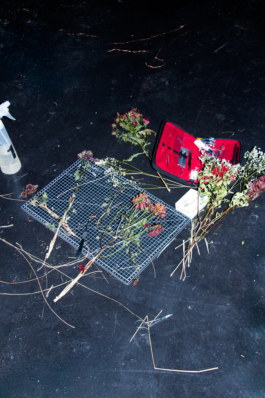  futurprimitiv by Evey Kwong