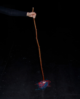  futurprimitiv by Evey Kwong