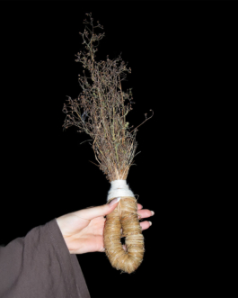  futurprimitiv by Evey Kwong