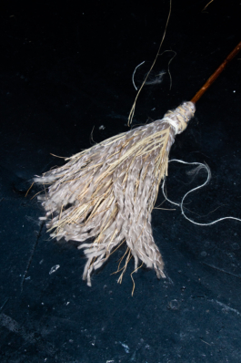  futurprimitiv by Evey Kwong