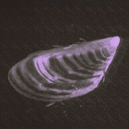 futurprimitiv by Evey Kwong