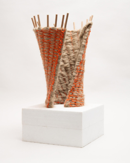  futurprimitiv by Evey Kwong