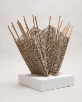  futurprimitiv by Evey Kwong