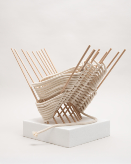  futurprimitiv by Evey Kwong