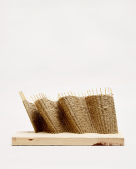  futurprimitiv by Evey Kwong